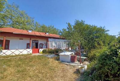 Casă cu 3 camere cu Teren 4658 Mp în Ghimpați - 12