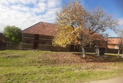 Casă cu 4 camere cu Teren 2800 Mp în Crocna - 5