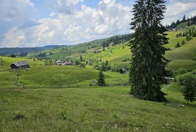Teren de 36255 mp, în Breaza - 5