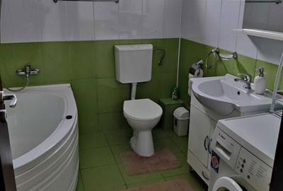 Apartament cu 2 camere semidecomandat în Tilișca - 5