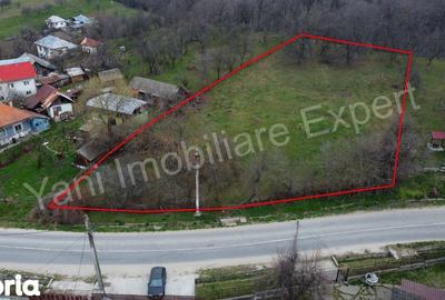 Teren de 2674 mp, în Cepari - 1