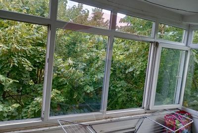 Apartament cu 2 camere de vanzare in zona 1 Mai Insula - 8