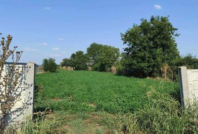 Casă cu 4 camere în Cilieni - 6