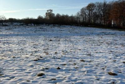 Teren partial intravilan 1914 mp, extravilan 7186 mp, in loc - 3