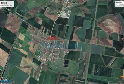 Teren de 542 mp, în Zimandcuz - 14