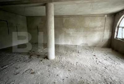 Casă cu 7 camere cu Teren 3000 Mp în Botizului - 4