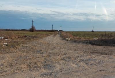 Teren de 19000 mp, în Bărbuceanu - 10