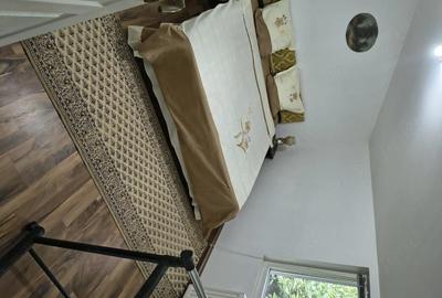 Apartament cu 3 camere decomandat în Iosefin - 6