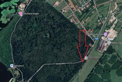Teren cu deschidere la Padurea Snagov- Gruiu - 2