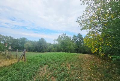 Teren intravilan, cu priveliște spre pădure – Vălenii de Munte - 18