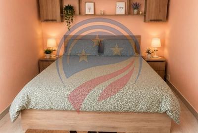 Apartament cu 2 camere semidecomandat, mobilat în Valea Rosie