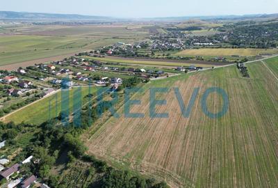 Teren de vanzare, Com. Sarata, Jud. Bacau - 2
