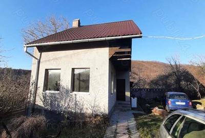 Vand casa 5 cam - 1