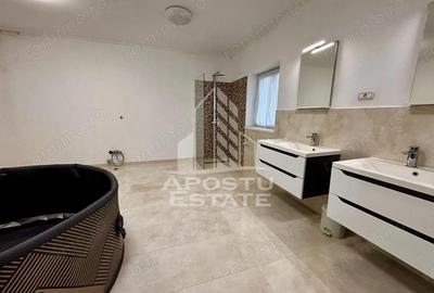 Casă cu 5 camere cu Canalizare în Dumbrăvița - 4