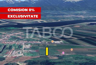 COMISION 0% Teren intravilan de vanzare 4460 mp Bradu Sibiu - 2