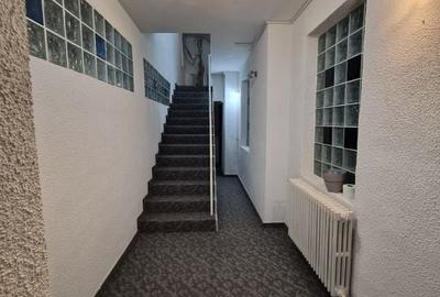 De vânzare Vilă individuala 11 camere curte proprie Parcul Carol De vânzare Vilă individuala 11 camere curte proprie Parcul Carol - 5