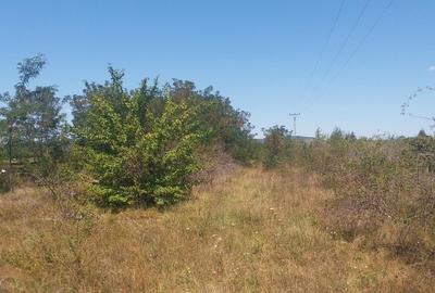 Teren 15000 mp Vernesti, Buzau cu PUZ - 6