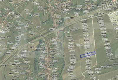 Teren de 7600 mp, în Vințu de Jos - 2