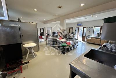 SAD de vanzare in EXCLUSIVITATE, 392 mp, 2693 mp teren, Sacalaz SAD de vanzare in EXCLUSIVITATE, 392 mp, 2693 mp teren, Sacalaz - 9