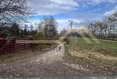 Teren Zarnesti | Tohanita | Intravilan | PUZ aprobat | Fara Utilitati | 9.053mp - 13