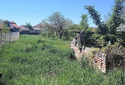 Casă cu Teren 7 Mp în Mihai Viteazu - 2