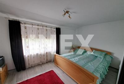 Casa individuala 5 camere platou Trivale - Zona Olteni - 8