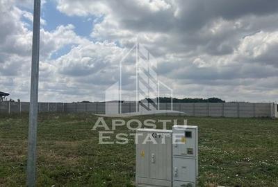 Teren Ghiroda cartier Bistra - toate utilitatile - 2