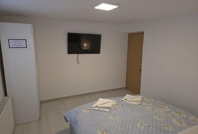 Pensiune la Cheia, moderna, functionala in totalitate, vedere mirifica (chirie) - 11