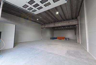 Hala de inchiriat – Baciu, la intrare in Cluj-Napoca - 2