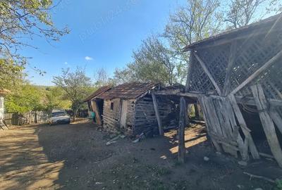 Casa si pamant agricol de vanzare - 3