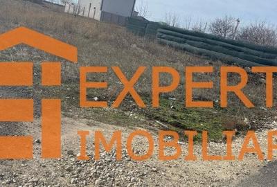 Teren intravilan in KM 5, la VETERANI - PRELUNGIREA TRACTORULUI - 9