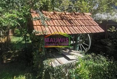 Casă individuală cu 2 camere cu Canalizare în Central - 26