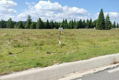 Teren de 1000 mp, în Beliș - 4
