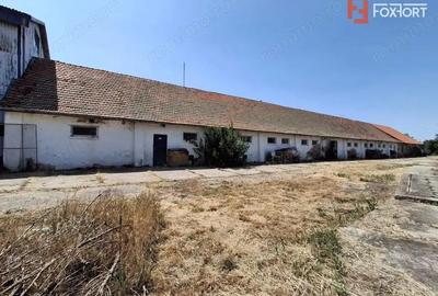 COMISION 0% Spatiu industrial de 695 mp si teren de 1821 mp - Giulvaz - 4