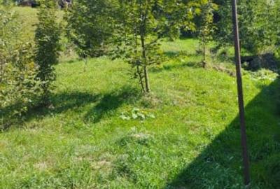 Casă cu 7 camere cu Teren 1600 Mp în Moieciu - 1