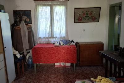 Casa batraneasca cu teren in Nehoiu, Buzau Casa batraneasca cu teren in Nehoiu, Buzau - 6