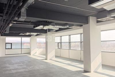 Birou, de 201 mp, în Podu Roș - 1