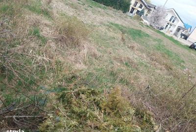 Teren de 573 mp, în Ciarda Roșie - 3