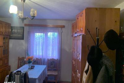 Casă cu 3 camere cu Teren 7600 Mp în Putna - 9