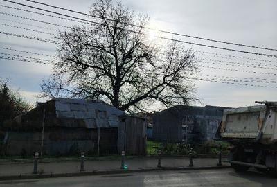 Teren de vanzare - 3