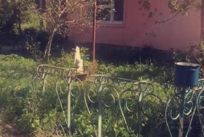 Teren de 4500 mp, în Naidăș - 10