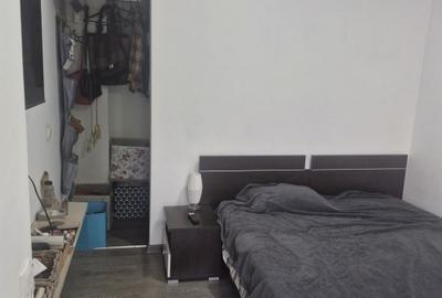 Apartament cu 2 camere semidecomandat, mobilat în Sebastian - 7