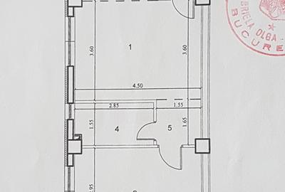 Trapezului, Sector 3, Bucuresti - 4