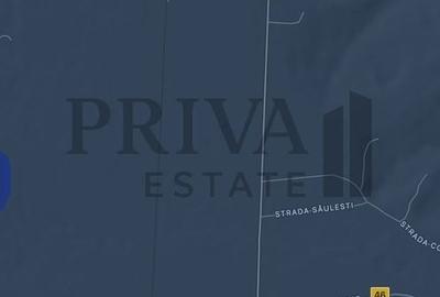 Teren agricol extravilan de 160000 mp, în Săulești - 2
