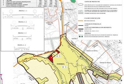 Teren intravilan de 4777 mp, în Todirel - 2