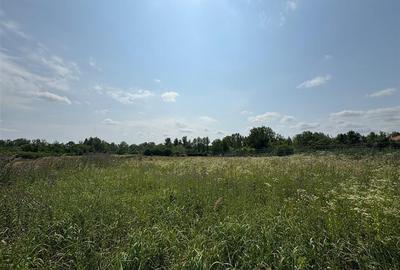 Teren Construcții intravilan de 500 mp, în Podgoria