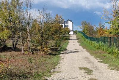 Spatii de inchiriat - 4