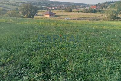 Teren intravilan 3500 mp Zalau - 3