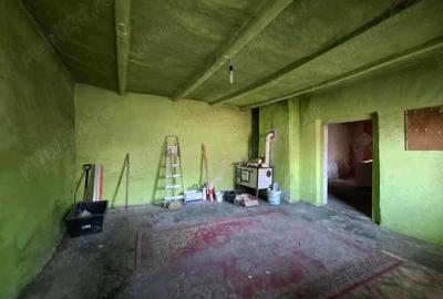 Casă cu Teren 1374 Mp în Borș - 5