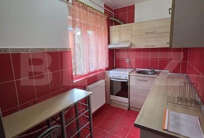 Apartament 1 camera, 32 mp, zona Florilor - 4